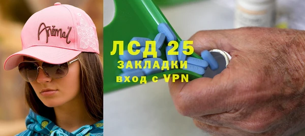 гашик Верея