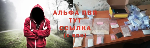 спиды Тавда