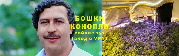 гашик Верея